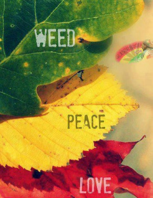 American Hippie Quotes ~ Weed 420 Peace, LoveMaryjane, Rasta 3, Weed ...