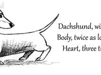 Dachshund Quotes Dachshund Quotes Dachshund pics and quotes For the ...