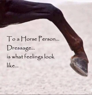 Dressage Horse Pictures