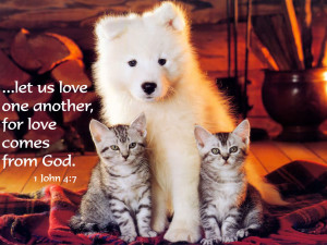 let-us-love-one-another-for-love-comes-from-god-bible-quote.jpg