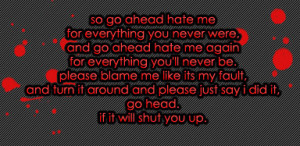 for everything you'll never be. please blame me like its my fault ...