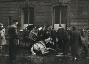 Robert Doisneau,The Fallen Horse (1942)
