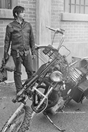 Norman Reedus As Daryl Dixon