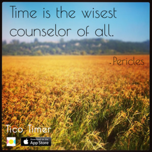 Time is the wisest counsellor of all.