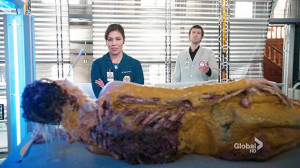 show page get updates on bones view show page