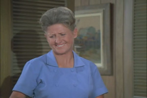 Alice-from-the-Brady-Bunch.jpg
