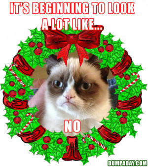 grumpy cat, its beginning to look a lot like christmas, angry cat ...