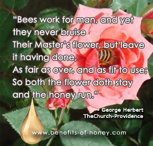 Quotes About Bees And Flowers