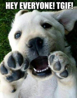 LOL #cute #dog saying #TGIF ! :) Happy Friday! -#AKC. #woof !