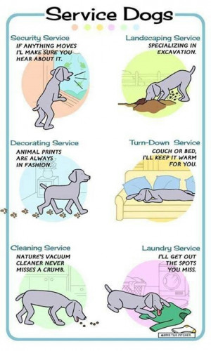 Service dogs #dogs #cartoons