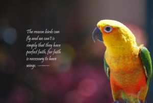 ... And We Can’t Is Simply That They Have Perfect Faith ~ Birds Quote