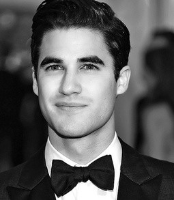 Darren Criss as Prince Charming