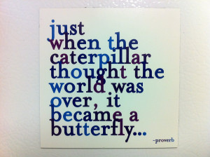 Lovely Butterfly Thought for the Day