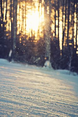 Winter Snow, Rise Sun, Winter Color, Winter Wonderland, Mornings ...