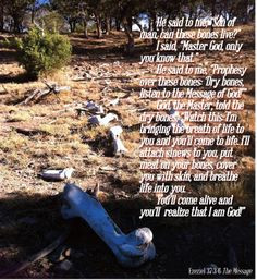 ... +of+the+dry+bones+ezekiel+37 | Ezekiel 37-The Valley of Dry Bones