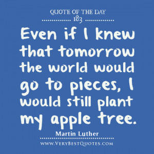 Quote Of The Day about determination by Martin Luther