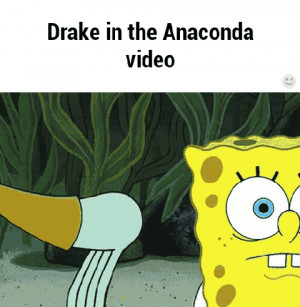 funny-gif-anaconda-drake