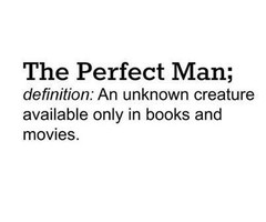 The Perfect Man Quotes the perfect man