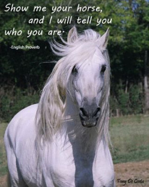 ... Horses mirror us. If a horse is crazy, meet the owner. It is said many