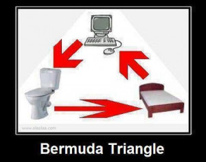 Funny Pictures-Bermuda Triangle-Software Engineer-Images-Photos