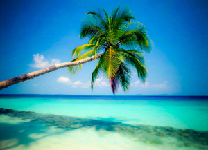 vacation getaway – linga vacations april 2011 [1152x836] | FileSize ...