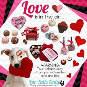 Spoil your furbabies rotten with these unique toys and treats for ...