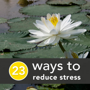 23 Scientifically-Backed Ways to Reduce Stress Right Now