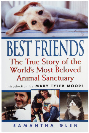 Roll over image to magnify