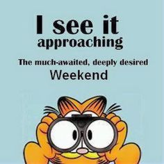 ... Approachig quotes cute quote cartoons garfield weekend weekend quotes