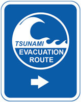 Environment Canterbury And Kaikoura District Council Formed A Tsunami