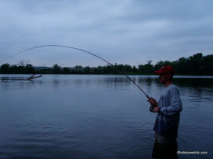 We got the fish to the net. It turned out to be another big channel ...