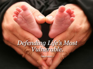 Dignity of human life wallpapers