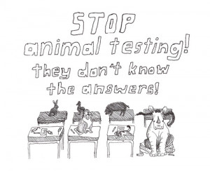 stop animal testing