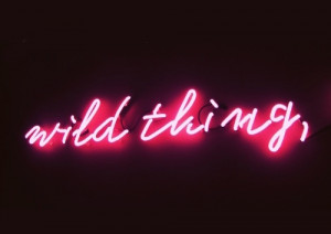 ... Things, Heart Singing, My Heart, Pink, Wild One, Neon Signs Quotes