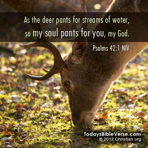 todaysbibleverse.com