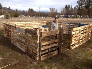 hog shelters out of pallets
