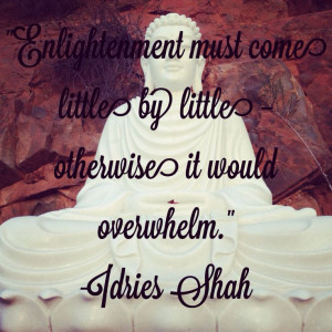 progress #patience #perseverance #buddha #buddhism #quote # ...