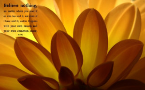 BUDDHA QUOTE - believe, buddha, floral, nature, zen, flower