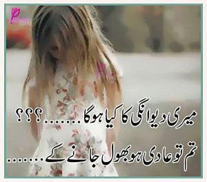 Love Urdu Poetry Images Meri Deewangi Ka Kiya Hoga Tum Aadi Ho BHOOL ...