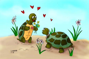 turtle love turtle love machine embroidery turtle love turtle love ...
