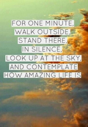 Contemplate how amazing life is