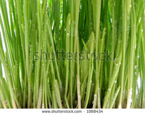 Related Pictures growing up at hogwarts harry potter stars then and ...