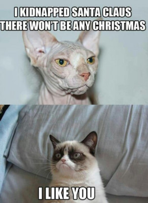 Grumpy Cat Christmas