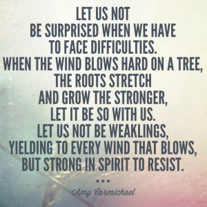 Facing difficulties with resilience. #suffering #faith Amy Carmichael ...