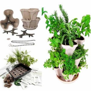 Indoor Medicinal Herb Garden Starter Kit & Self-Watering Planter