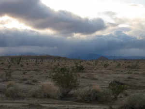 More Desert Rain Image