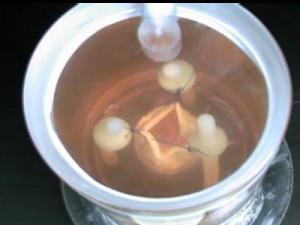 Could we clone our organs to be used in a transplant?