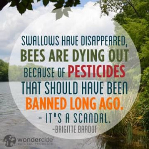 ... quotes #inspiration #change #bees #pesticides #evolution #environment