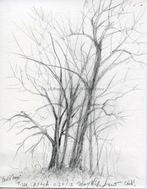 Dead Tree Sketch C11 27 12 tree sketch pauls