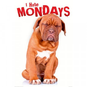 Hate Mondays Dog Puppy Funny Cute Office Space College Rare Poster ...
